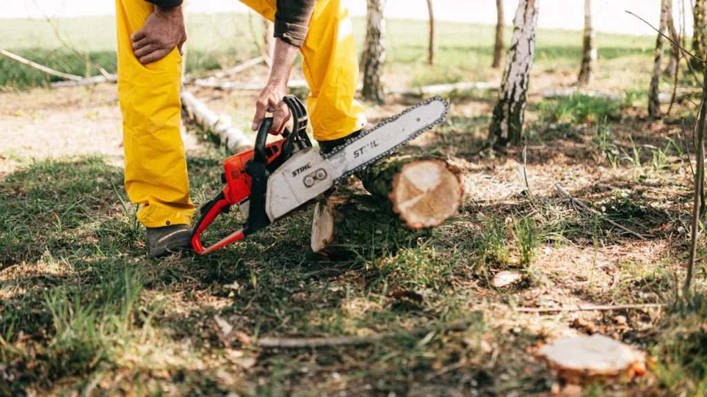 Pilarki akumulatorowe Stihl - kiedy są lepszą opcją niż spalinowe lub sieciowe?